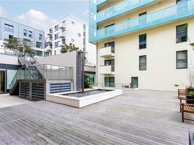Picture 8
